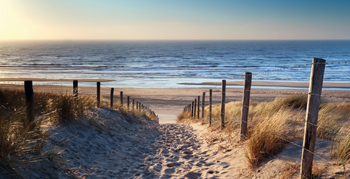 Weg durch die Dünen zum Strand